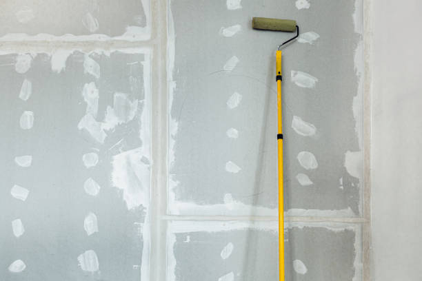 Best Water-Damaged Drywall Repair  in Perry, OH