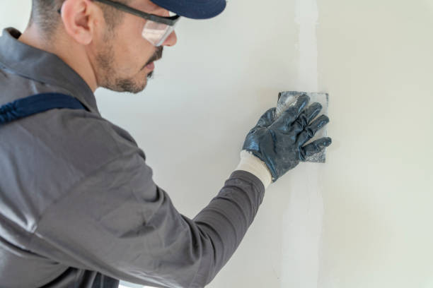 Best Wallpaper Removal and Painting  in Perry, OH